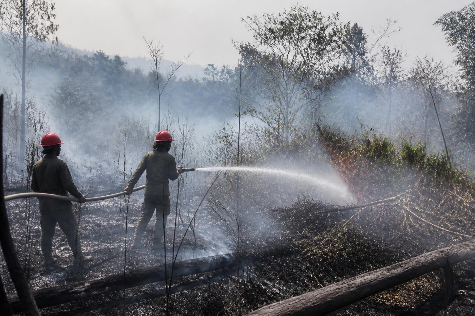 Karhutla di Siboang Donggala Terbakar Tiga Hektare, Api Belum Sepenuhnya Padam