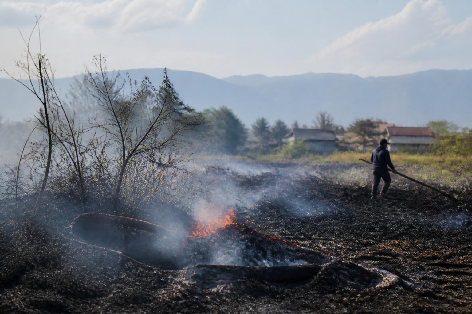Kebakaran di Palu Capai 322 Kejadian, Pemkot Soroti Ancaman dari Lahan Terbuka