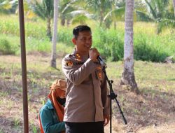 Galakkan Ketahanan Pangan, Polres Tojo Una Una Melalui Penanaman Jagung Serentak di Lahan Perhutanan Sosial